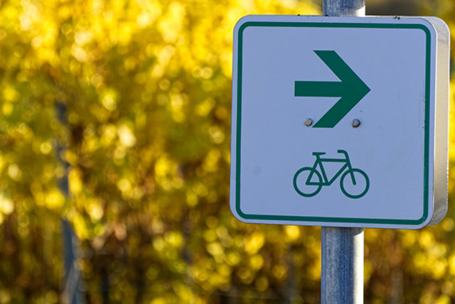 Hinweisschild für Radfahrer vor Bäumen mit Herbstlaub