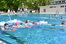 Junge Mitglieder der DLRG schwimmen im Wasser.