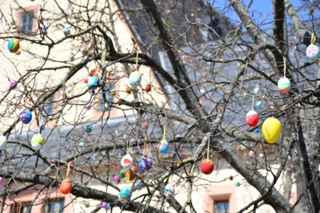 linkunterstützendes Foto vom Ostereierbaum auf dem Obermarkt