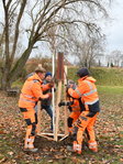 Betriebshof-Mitarbeiter schlagen Holzpfähle ein.