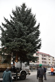 Baum hängt am Haken.