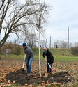 Familie Roehr schaufelt Erde an ihrem Spendenbaum.