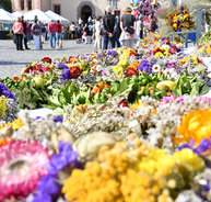 Strohblumensträuße auf dem Bauernmarkt