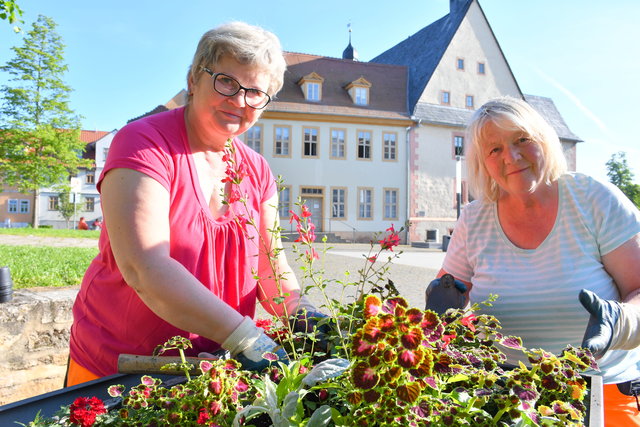 Gärtnerinnen pflanzen die Blumen ein