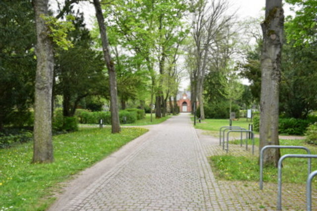 Eingangsallee auf dem Sömmerdaer Friedhof