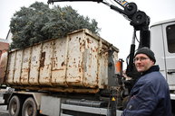 Baum wird ausgeladen.