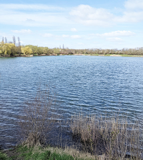 Blick auf den Kies-See Leubingen vom Ufer aus