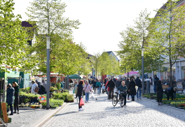 Die Marktstraße in Sömmerda. Zwischen gründenden Bäumen rechts und links des Fahrbereichs haben zahlreiche Händler ihre Waren zum Gartenmakrt ausgebreitet. Auf der breiten Fahrsstraße laufen viele Leute. Etliche halten an Ständen an und kaufen dort Blumen und Pflanzen.