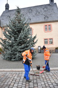 Saubermachen um den Weihnachtsbaum