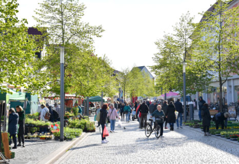 In der breiten Marktstraße, in der rechts und links Lindenbäume stehen, haben Händler ihre Stände mit ihren Blumen und Pflanzen aufgebaut. An den Ständen schauen sich Leute das Angebot an und zahrleiche Menschen flanieren mit gefüllten Beuteln auf der Marktstraße.