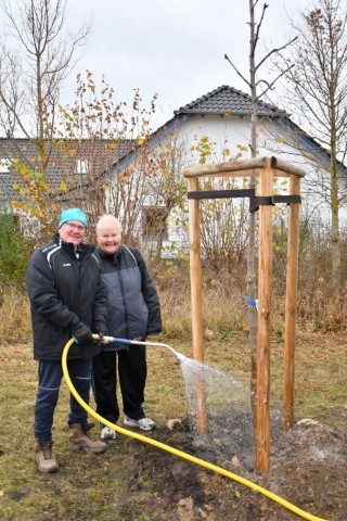 Baumpflanzaktion vom 17.11.2021 im Rahmen des Projektes Bäume für Sömmerda.