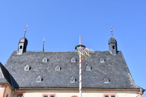 Maibaum vor dem Rathaus