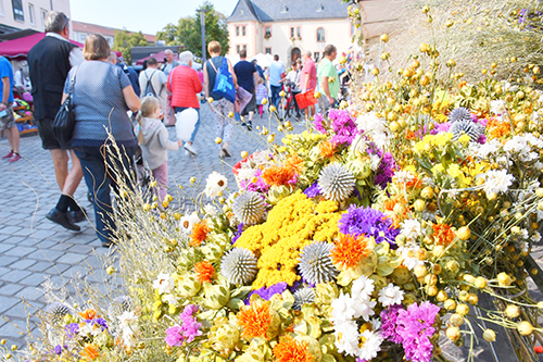 Blick auf den Bauernmarkt 2020