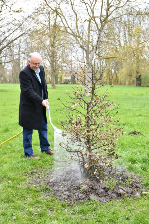 Baum des Jahres am 23. April gepflanzt.