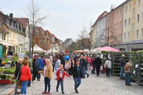 Gartenmarkt 2022