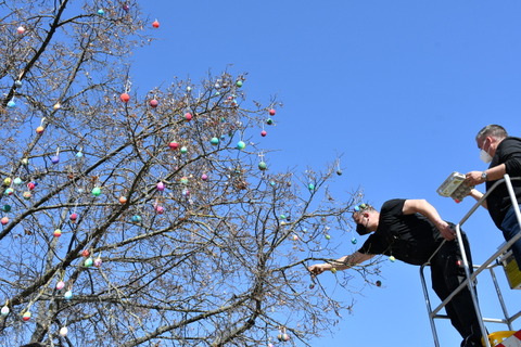 Foto vom Ostereierbaum auf dem Obermarkt