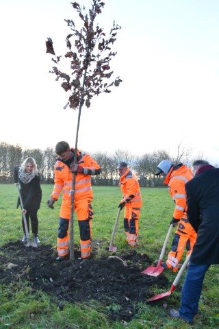 Baumpflanzaktion 23.11.2021