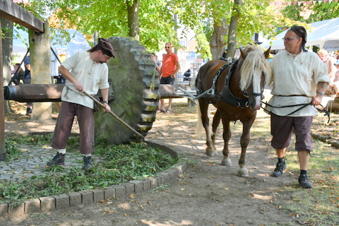 Die Waidmühle wird vom Pferd angetrieben.