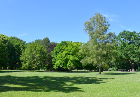 Stadtpark Sömmerda im Sommer