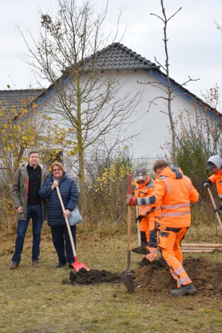 Baumpflanzaktion vom 17.11.2021 im Rahmen des Projektes Bäume für Sömmerda.